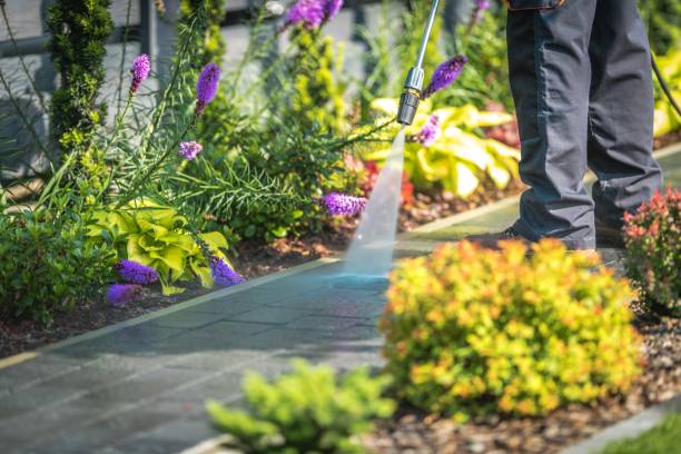 Animal Enclosure Cleaning in North Aurora, IL
